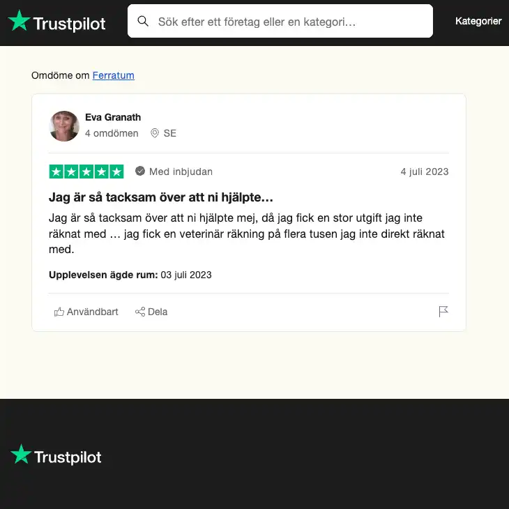 Skärmdump av ett positivt omdöme av Ferratum kredit från Trustpilot. Omdömet framhäver att krediten hjälpte kredittagaren att betala en veterinärräkning på flera tusen kronor som kredittagaren inte hade räknat med att få.